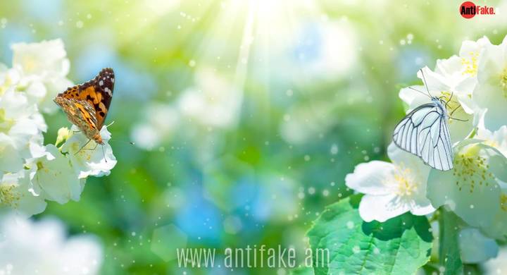 any